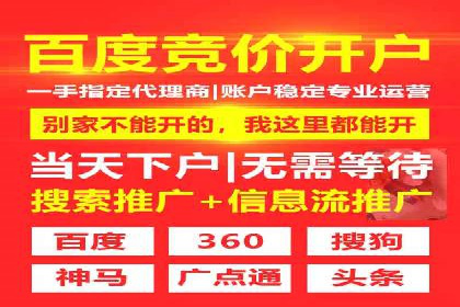推广竞价策略优化：借鉴成功案例实现精准营销